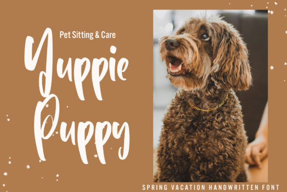 Spring Vacation Font Poster 7