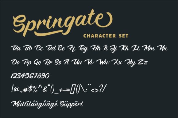 Springate Font Poster 9