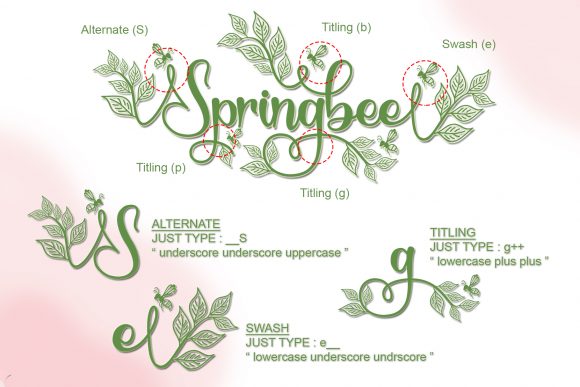 Springbee Font Poster 8