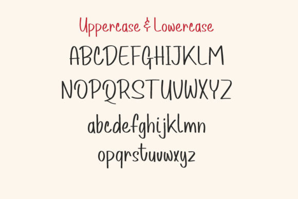 Spydoll Font Poster 5