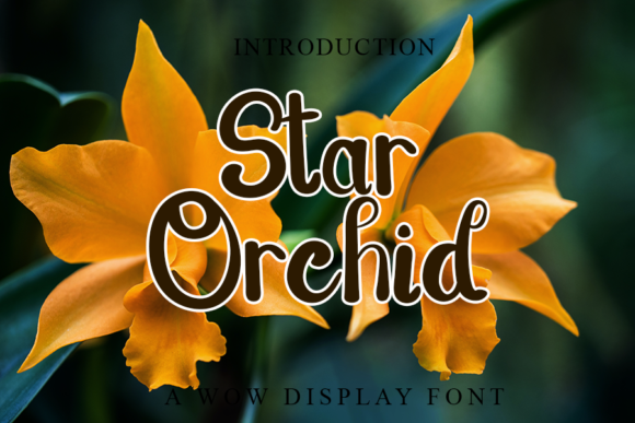 Star Orchid Font