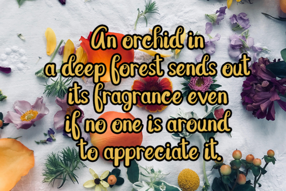 Star Orchid Font Poster 2