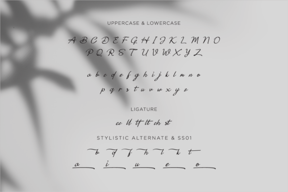 Staycool Font Poster 7