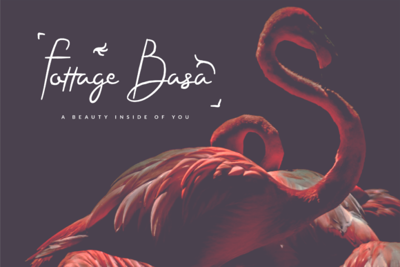 Steffi Ondey Font Poster 4