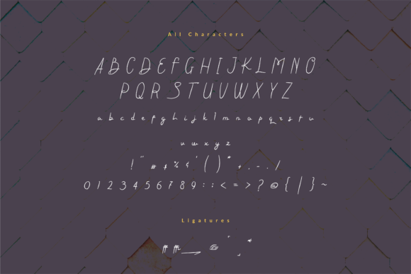 Steffi Ondey Font Poster 5