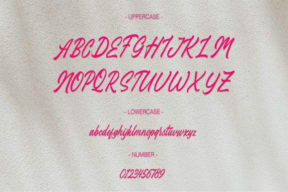 Stefina Signature Font Poster 2
