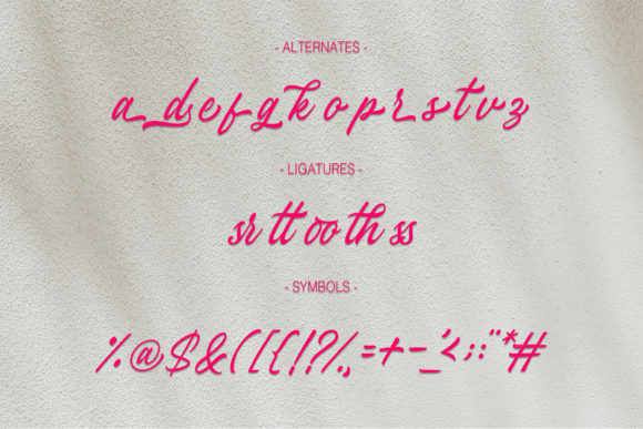 Stefina Signature Font Poster 3