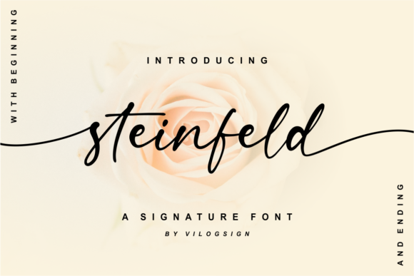 Steinfeld Font