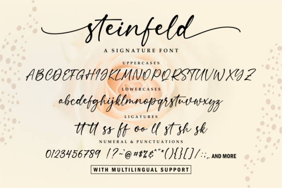 Steinfeld Font Poster 10