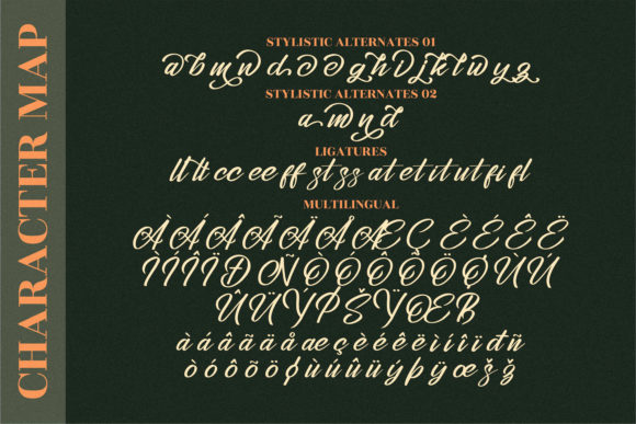 Stephenson Brandon Font Poster 14