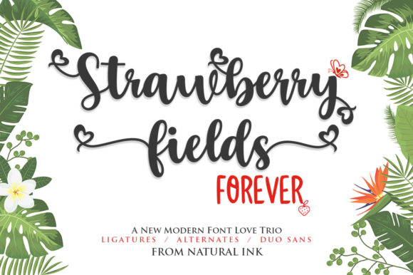 Strawberry Fields Forever Font Poster 1
