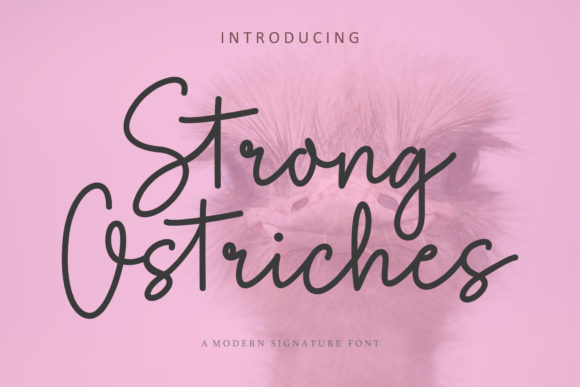 Strong Ostriches Font Poster 1