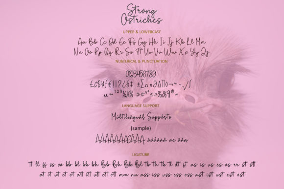 Strong Ostriches Font Poster 7