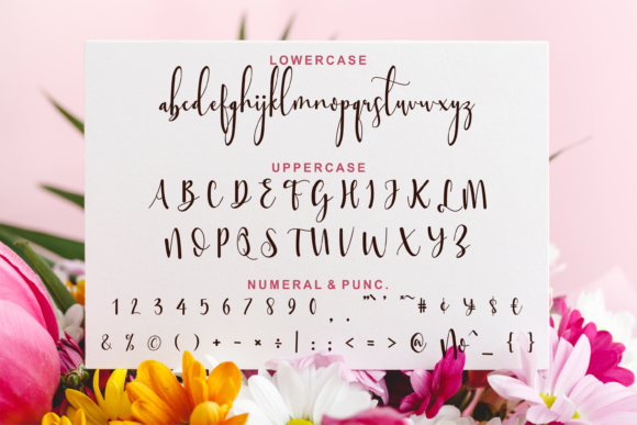 Sttessi Font Poster 4