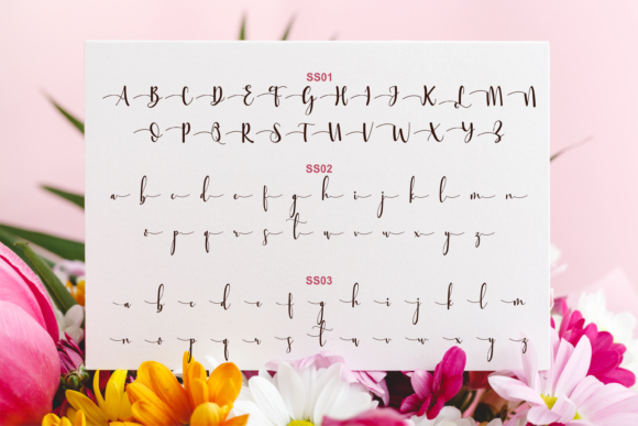 Sttessi Font Poster 5