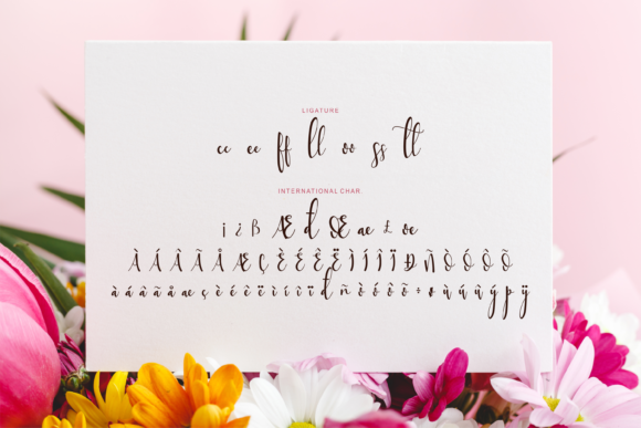 Sttessi Font Poster 6