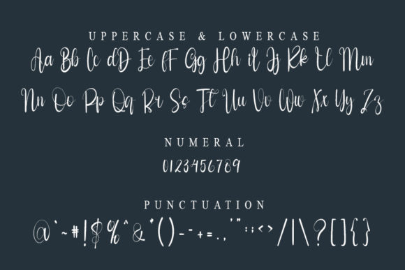 Style Signature Font Poster 5