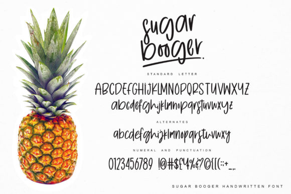 Sugar Booger Font Poster 9