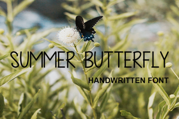 Summer Butterfly Font Poster 1