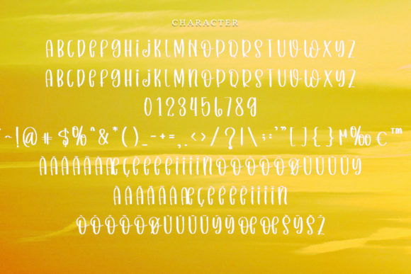 Summer Moments Font Poster 5