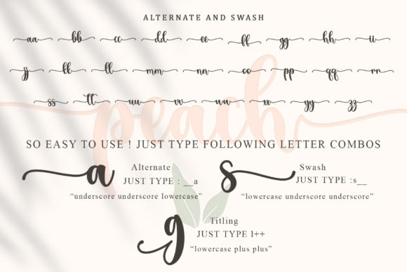 Summer Peach Font Poster 8
