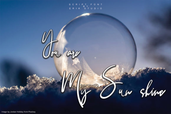 Sun Flowers Font Poster 2
