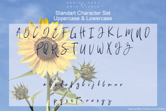 Sun Flowers Font Poster 3