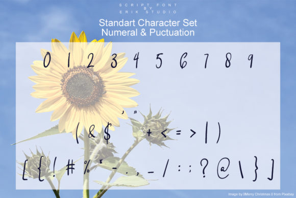 Sun Flowers Font Poster 4