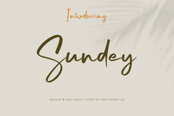 Sundey Font Poster 1