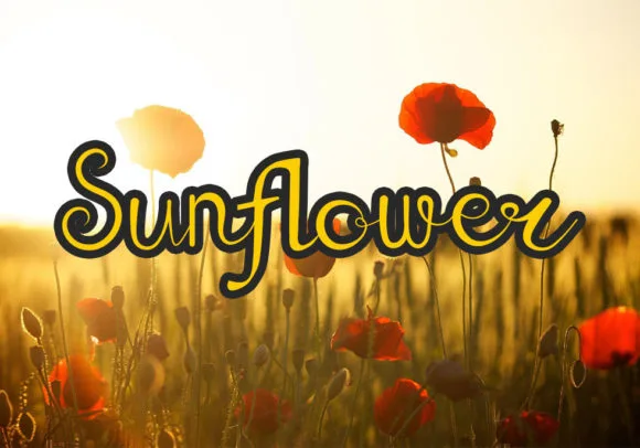 Sunflower Font Sunflower Font Poster 1