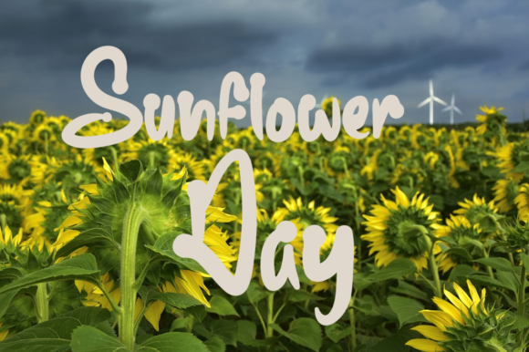 Sunflower Farmhouse Font Poster 3