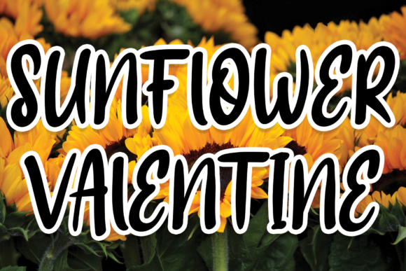 Sunflower Valentine Font Poster 1