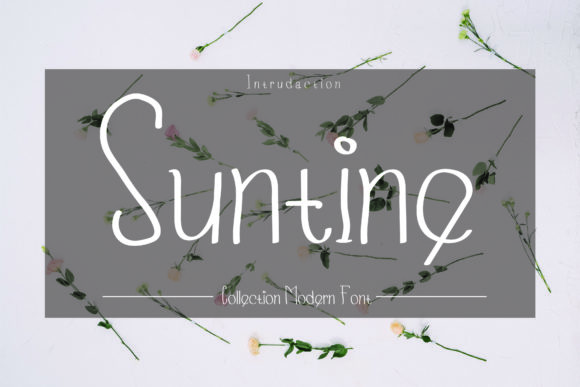Suntine Font Poster 1