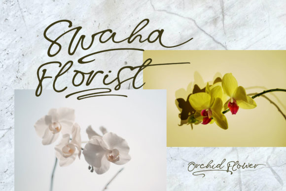 Swaha Font Poster 2