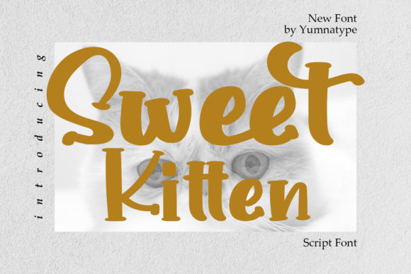 Sweet Kitten Font Poster 1