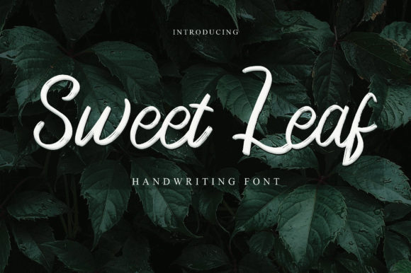 Sweet Leaf Font Poster 1
