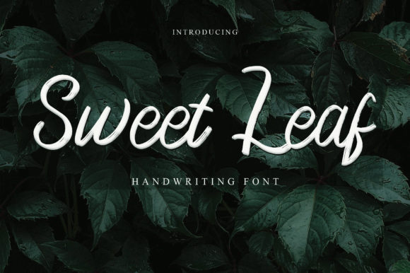 Sweet Leaf Font Poster 1