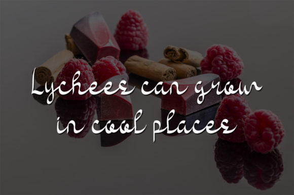 Sweet Lychee Font Poster 2