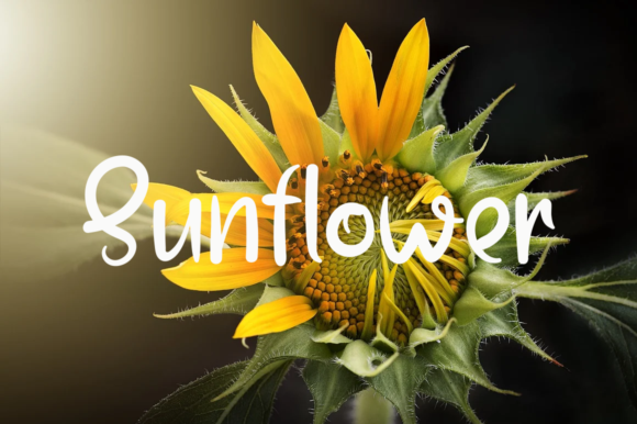 Sweet Pineapple Font Poster 3