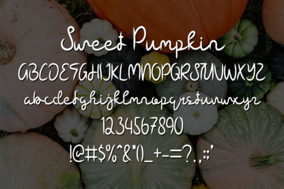 Sweet Pumpkin Font Poster 4