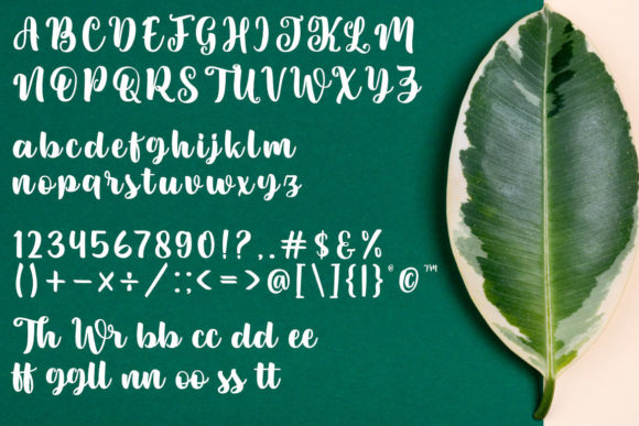 Sweety Renna Font Poster 4