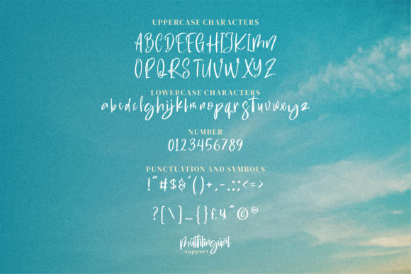 Swite Brush Font Poster 4