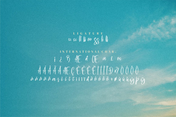 Swite Brush Font Poster 5