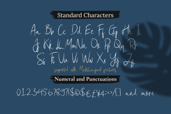 Syltica Font Poster 8