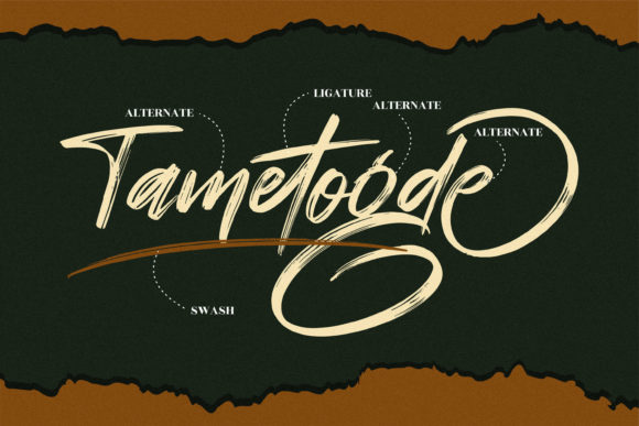 Tametogde Font Poster 13