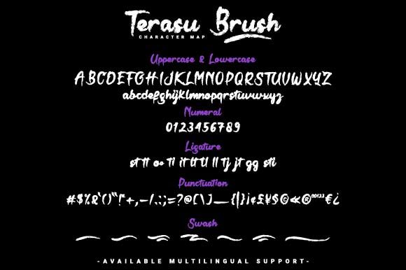 Terasu Brush Font Poster 6