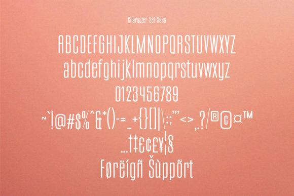 Terrakota Font Poster 8