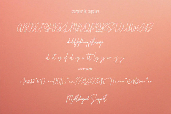 Terrakota Font Poster 9