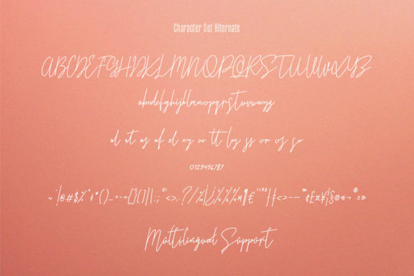 Terrakota Font Poster 10