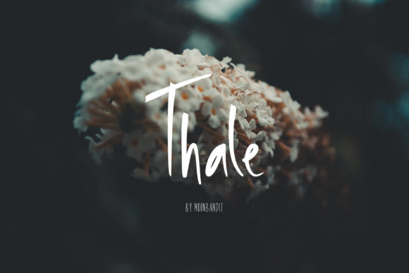 Thale Font Poster 1